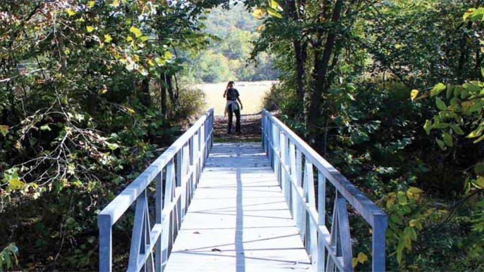 attractions new trail header