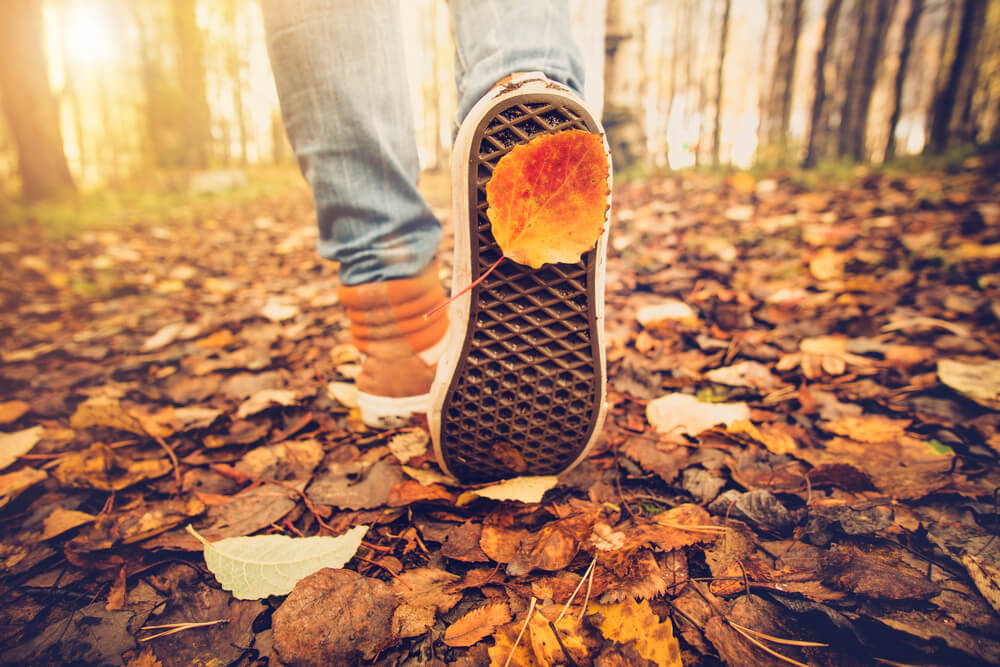Saturate Yourself in the Fall Colors in Missouri