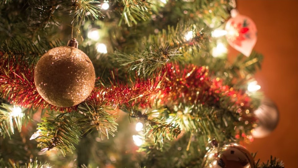 tourism Christmas Traditions Tree Farm
