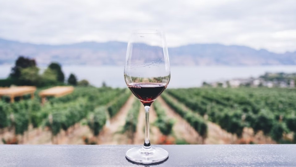 wineries Holy Grail Winery
