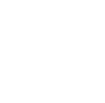 icon exceptional customer service