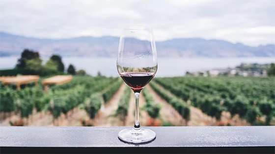 innsbrook vacations wineries